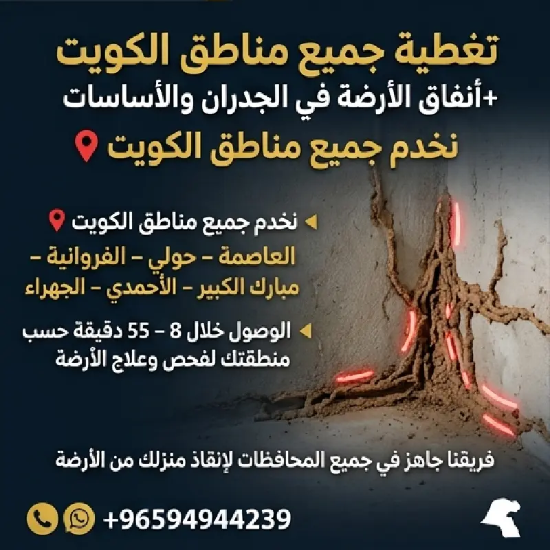 رش النمل الأبيض والأرضة بمبيدات آمنة ومرخصة في الكويت