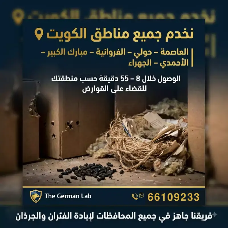 مكافحة الفئران في المنازل والمطاعم بمبيدات آمنة في الكويت