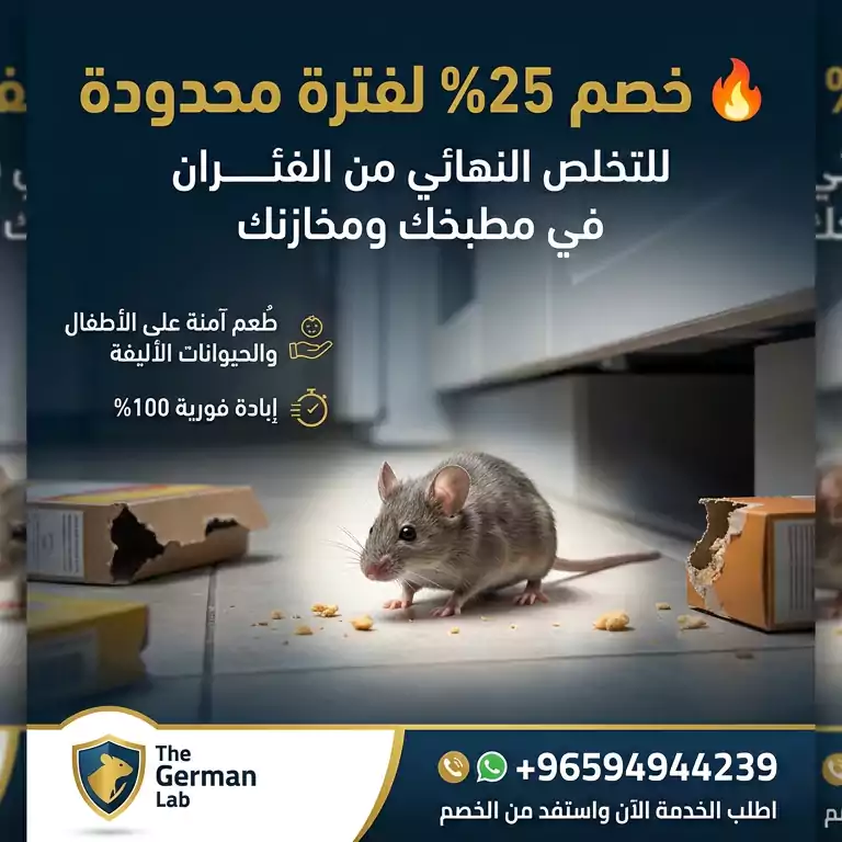 مكافحة الفئران في المنازل والمطاعم بمبيدات آمنة في الكويت